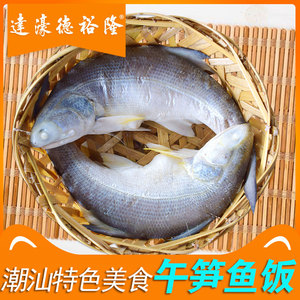 省级非遗鱼饭制作技艺潮汕特产午笋鱼饭 海鲜即食500克包邮食品