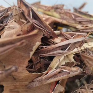 丁蜢活虫花腿蚂蚱草蜢虰蜢画眉提性丁猛斗鸟比赛专用鸟食纯公蝗虫