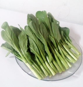 广东菜心新鲜