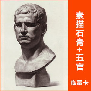71 素描石膏 五官头像塑封美术临摹卡少儿童考级入门创意绘画室