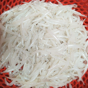 尚致旗舰店天猫小银鱼新鲜鲜活冷冻银鱼面条鱼海鲜