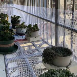 塑料网格阳台防护宠物封窗防逃防猫窗养殖漏粪育雏养鸡鸡苗脚垫网