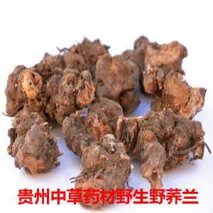 贵州省中草药材苦荞头野兰荞 高海拔野生苦兰万年荞500克包邮干品