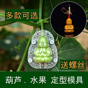 葫芦生长磨具定型模具塑料变形模型范制套模模具水果模子