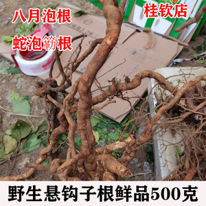 广西野生现挖悬钩子根蛇泡簕八月泡茅梅根粗叶悬钩子纯根500克