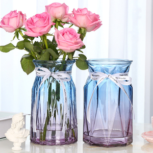 【花瓶2个】玻璃花瓶彩色欧式客厅创意摆件插花玫瑰 水培透明家用