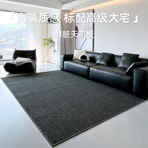 极简风地毯客厅2024新款轻奢高级感沙发茶几毯家用黑白灰卧室地垫