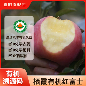 山东烟台苹果新鲜有机红富士4.8斤 无农药不打蜡不套袋孕妇水果