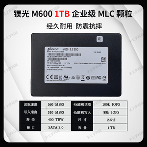 m600镁光