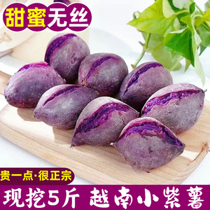 正宗越南小紫薯新鲜农家自种特级珍珠板栗纯正现挖紫薯粉糯甜5斤