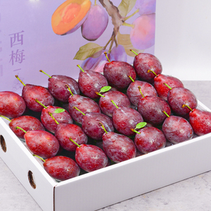 顺丰 澳洲西梅进口5斤法兰西梅新鲜水果当季整箱孕妇大果鲜果包邮