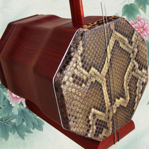 诗享乐器红木大低胡专业演奏新手教学手工送配件