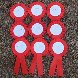 300人付款淘宝学生奖励徽章你真棒好孩子勋章胸章文明学习进步读书