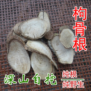 野生枸骨根 中药材枸骨树根 八角刺根 猫儿刺根 新鲜干片 500克