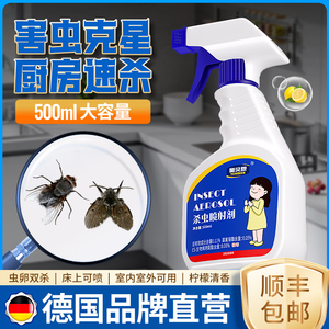 厨房里出了好多油子虫厕所小飞虫杀虫剂泡沫卫生间小苍蝇下水虫子