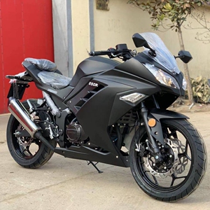 小忍者摩托车整车二手国产地平线机车重型趴赛250cc发动机可上牌