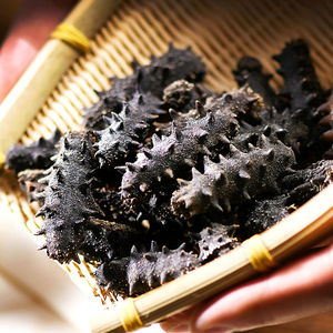 九年辽参野生刺参底播礼盒天然淡干渤海大连小芹海生干货小琴海参