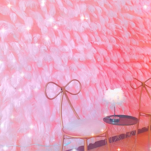 网红羽毛墙ins粉色鸵鸟羽毛背景墙面diy自粘羽毛墙面装饰拍照道具