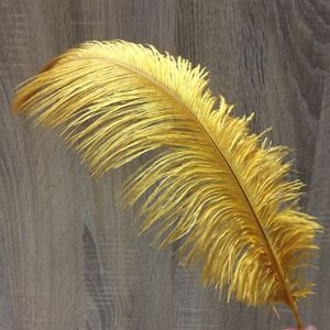 金色ins鸵鸟毛婚庆路引桌花橱窗摆件diy装饰鸵鸟羽毛金色羽毛辅料