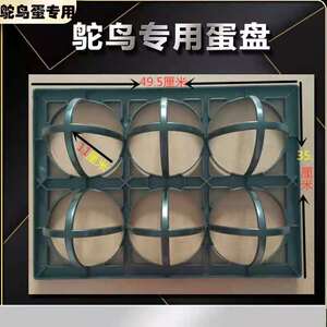 鸵鸟蛋孵化器全自动