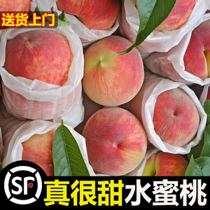 水蜜桃新鲜10斤大果水果大桃子应季整箱软脆超甜整箱毛桃密桃包邮