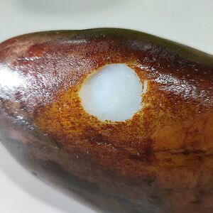 和田玉红玉籽料