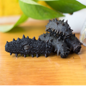 胖海参盐干盐渍海参1g大连海参正宗辽参渤海湾海参1斤包邮