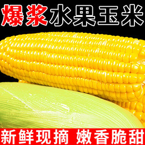 水果玉米9斤非东北新鲜现摘生即食早餐甜糯米玉米棒生鲜蔬菜批发
