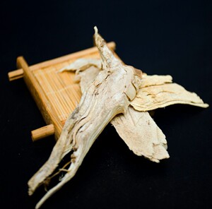 中药材 芙蓉根 芙蓉花根 木芙蓉根500g包邮 野生木莲地芙蓉华木根