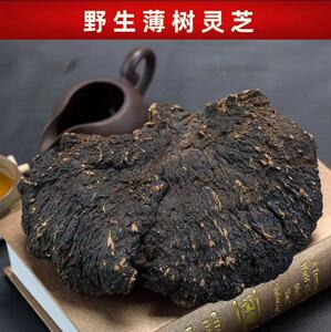 海南野生薄树灵芝正品深山野生薄树芝薄盖灵芝可泡酒煮汤可切片哦