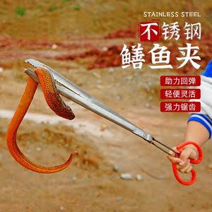 夹黄鳝专用夹子捕泥鳅神器不锈钢钳子防滑赶海抓螃蟹夹鳝鱼工具