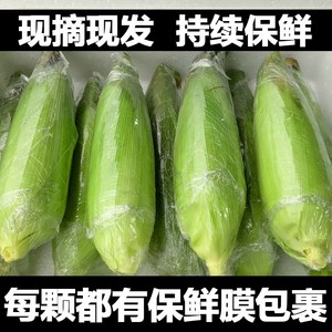 新鲜水果玉米9斤新鲜生吃甜玉米棒子粒粘糯黏苞谷米蔬菜包邮