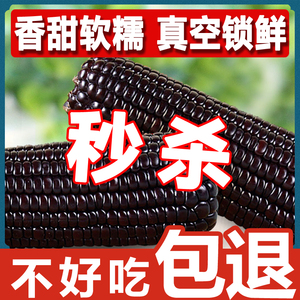 黑龙江鲜食玉米棒真空包装东北甜糯玉米棒粗粮代餐非转基因粘苞米