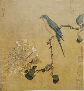 工笔画底稿 宋 琼花翠禽图白描50#打印稿毛笔勾线宣纸稿有步骤图