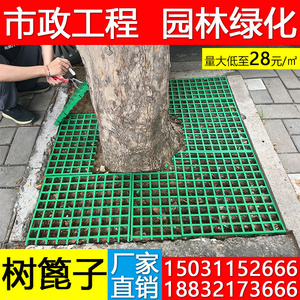 树篦子树池塑料格栅护树板树坑盖板树穴地网树池树脂网格市政绿化