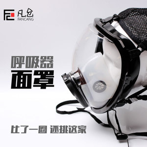 防毒面罩/呼吸器全面罩/空气呼吸器配球形全面罩/电动送风面罩