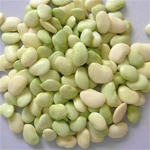 速冻 鲜剥 洋扁豆 白玉豆 利马豆  哈巴豆 酱瓜伴侣 崇明特产