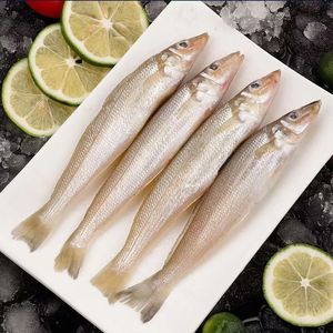 沙丁鱼新鲜包邮