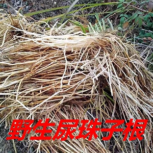 野生尿珠子根野薏米根尿猪根打碗结石草药中药材250g包邮