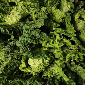 贵州农家自种新鲜麻叶白菜 新鲜蔬菜大白菜 麻叶白菜5斤包邮