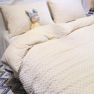 出口韩国面料豆豆绒四件套被套秋冬宝宝绒保暖浅米色少女心床单