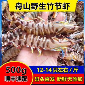 舟山东海竹节虾海捕大虾鲜活九节虾特大基围虾对超大海鲜水产顺丰