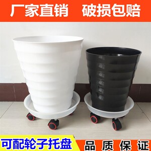 卓天园艺旗舰店天猫塑料花盆 加仑盆 螺纹盆圆形环保树脂塑料盆仿