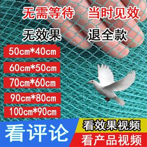 捕鸽神器拍抓野鸽子套的捕地网家用收鸽全自动逮鸽天落笼只进不出