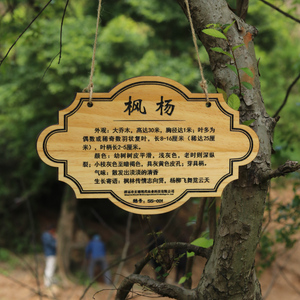 爱护树木牌挂