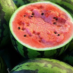 懒汉地雷王西瓜种子早熟薄皮大果8424红瓤超甜高产蔬菜水果种籽孑