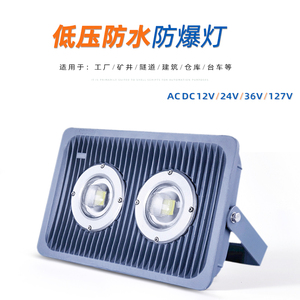 交流AC36v防爆灯12V24V户外防水泛光投光灯110v127V48v台车灯