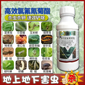 79黄金穗农资淘宝标正牛亮0.