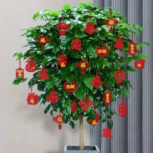绿植富贵竹植绒挂件小中国结挂饰树上盆景银柳弯龙竹春节新年装饰