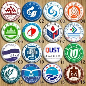 山东商业水利青岛农业大学滨海恒星科技职业泰山医学院校徽胸针